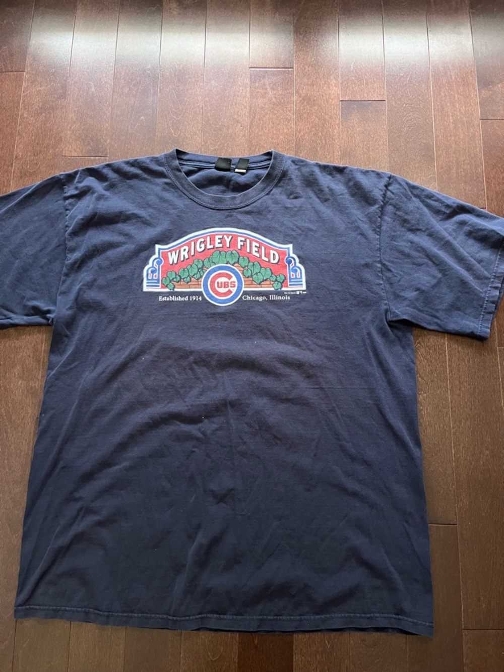 Vintage Chicago Cubs 2000 Wrigley Field MLB Baseball Oversized Baggy Tee XXL